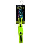 20" High Visibility Pet Buckle Collar