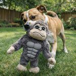 Tough Plush Muscle Gorilla and Tiger Dog Toys