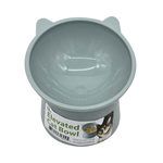 Easy-Feed Tilted Elevated Cat Food Bowl